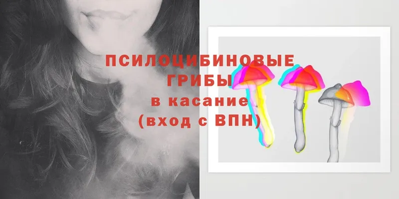 Галлюциногенные грибы Magic Shrooms  Миньяр 